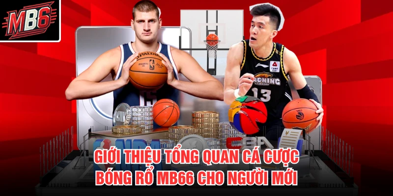 Cá Cược Bóng Rổ MB66 1 Giới thiệu tổng quan cá cược bóng rổ MB66 cho người mới