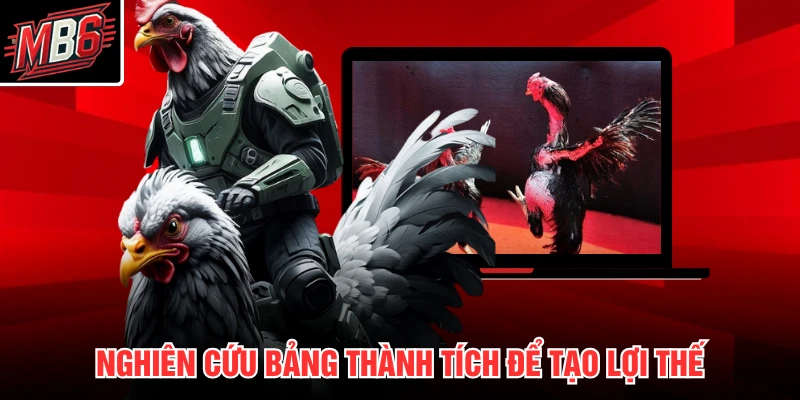 Đá Gà Thomo MB66 - Trực Tiếp Đấu Trường Campuchia 3 Nghiên cứu bảng thành tích để tạo lợi thế