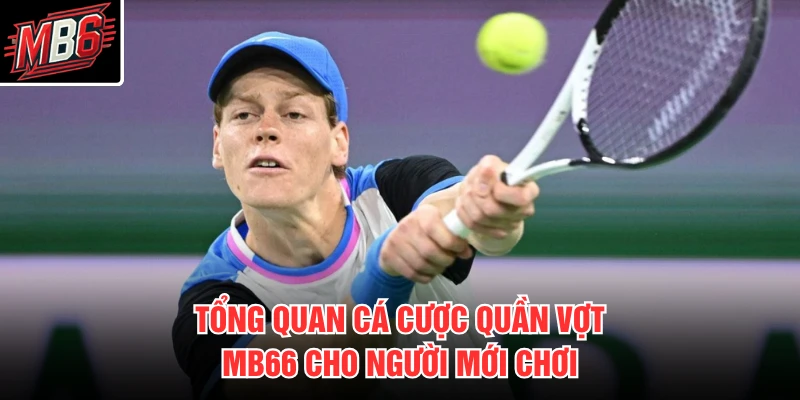 Cá Cược Quần Vợt MB66 1 Tổng quan cá cược quần vợt MB66 cho người mới chơi